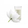 Artdeco All Over Body Fragrance White Lotus & Rice Milk    
