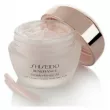 Shiseido Benefiance Wrinkle Resist 24 Night Cream       24 