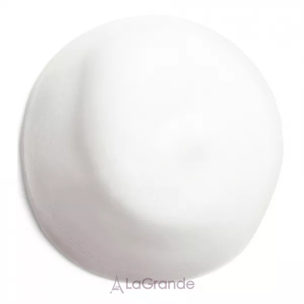 Shiseido Complete Cleansing Microfoam �������� ���� ��� ������ ������