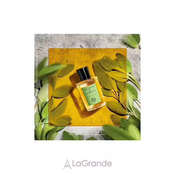Acqua di Parma  Colonia Futura �������� (������)