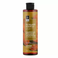 Bodyfarm Ginger Shampoo For Oily Hair ������� ��� ������� ������� � �������