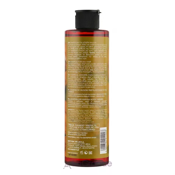 Bodyfarm Ginger Shampoo For Oily Hair ������� ��� ������� ������� � �������