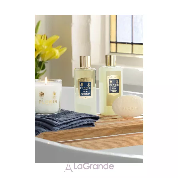 Floris Cefiro �������� ���� (������)