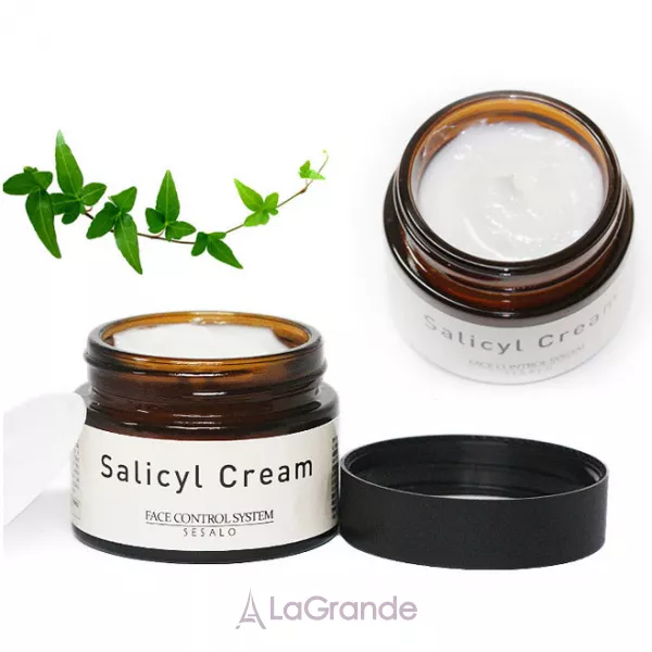 Elizavecca Sesalo Salicyl Cream ���� ��� ���� ����������� � �������� �������