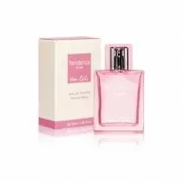 Van Gils Tendeza ���� ��� ����