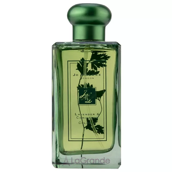 Jo Malone Lavender & Coriander ��������