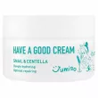 Jumiso Have A Good Cream Snail&Centella   ,   ()