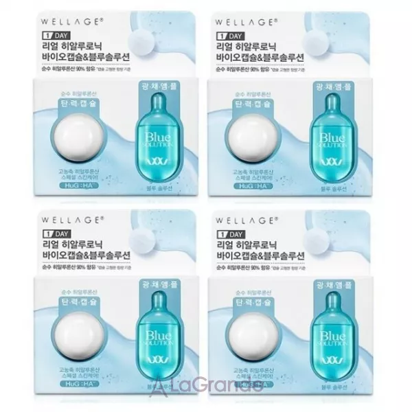 Wellage Real Hyaluronic One Day Kit ���-������� � ������������ ��������
