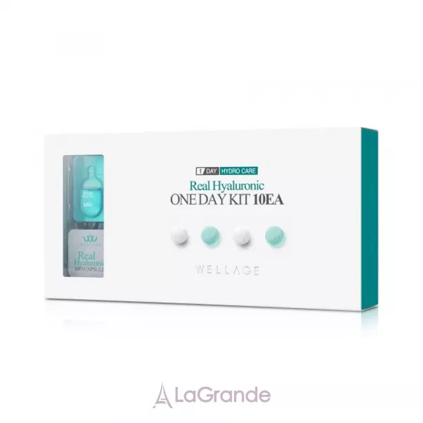 Wellage Real Hyaluronic One Day Kit ���-������� � ������������ ��������
