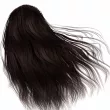 Trendy Hair Tinctorial Plants Vegan Hair Color 411 Dark Chestnut