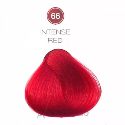 Trendy Hair Special One Color Semi-Permanent Mask       (200 )