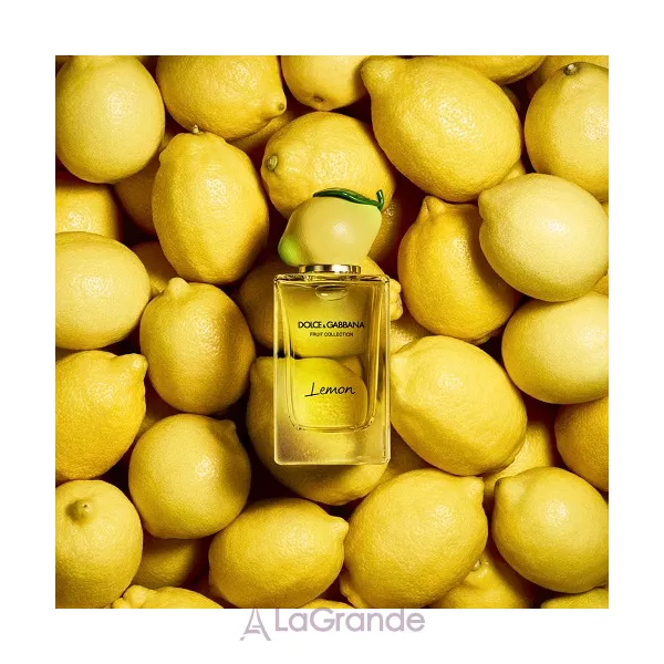 Dolce & Gabbana Fruit Collection Lemon ��������� ����