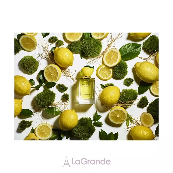 Dolce & Gabbana Fruit Collection Lemon ��������� ����