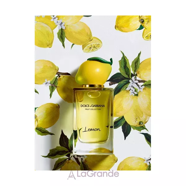 Dolce & Gabbana Fruit Collection Lemon ��������� ����