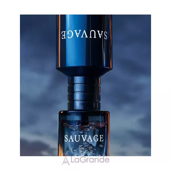 Christian Dior Sauvage 2015 ��������� ���� (refill)