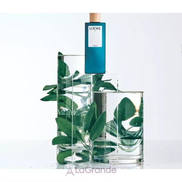 Loewe 7 Loewe Cobalt ����������� ����