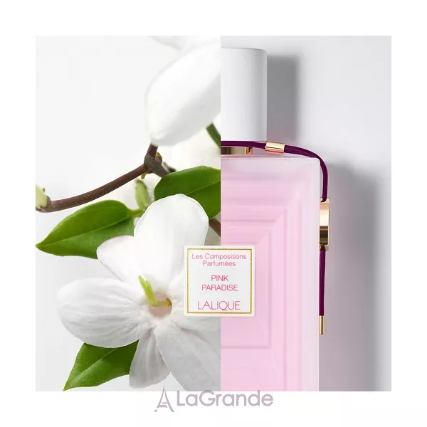 Lalique Pink Paradise ��������������� ����