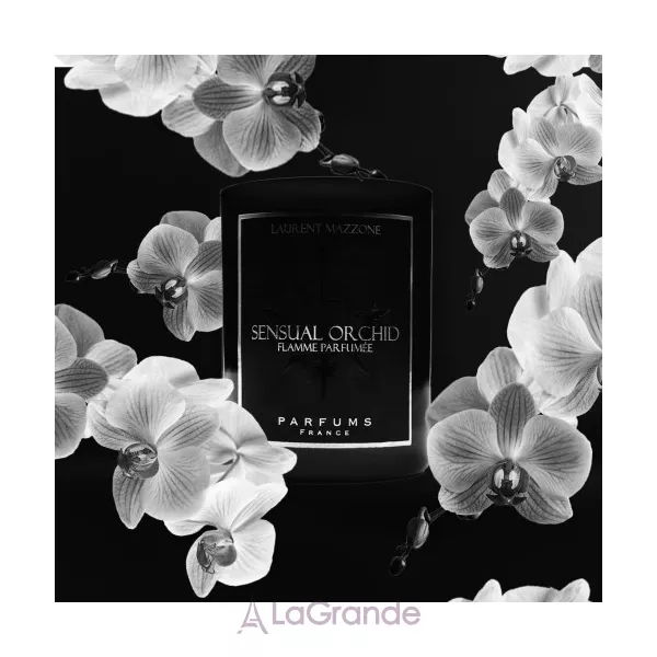 LM Parfums Sensual Orchid ���� (���� 3 ������� �� 15 ��)