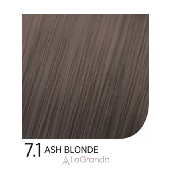 Trendy Hair Special One Color ����-������ ��� ����� ���������