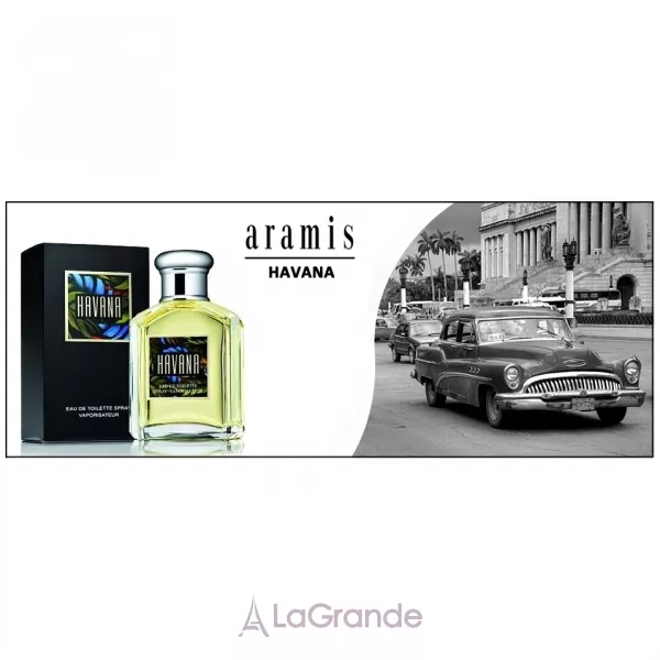 Aramis Havana �������� ����