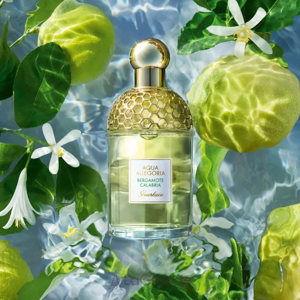 Guerlain Aqua Allegoria Bergamote Calabria ���� (�������� ���� 75 �� + ������� ��� ��� 75 ��)