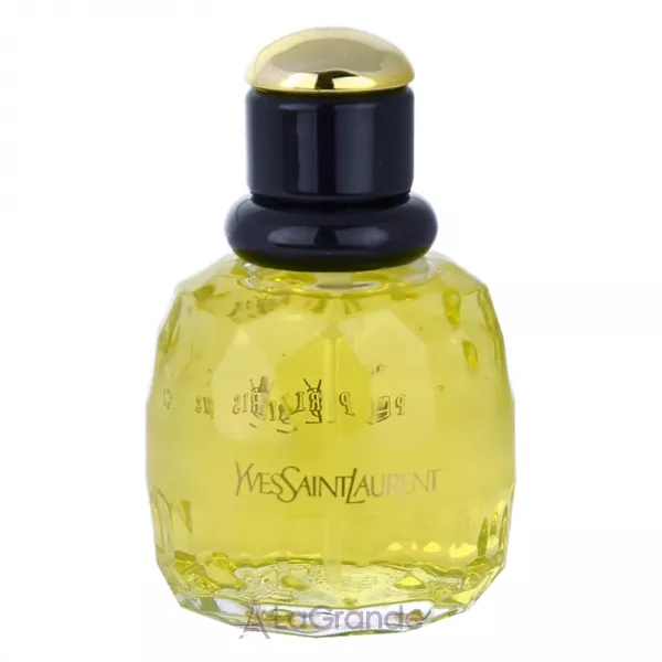 Yves Saint Laurent YSL Paris ��������������� ����