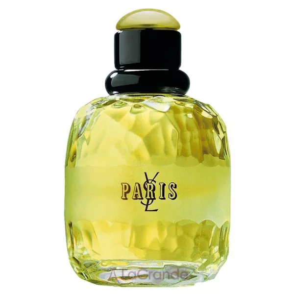 Yves Saint Laurent YSL Paris ��������������� ����
