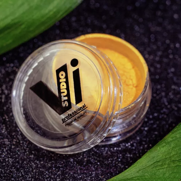 ViSTUDIO Gold Pigment ϳ����� 