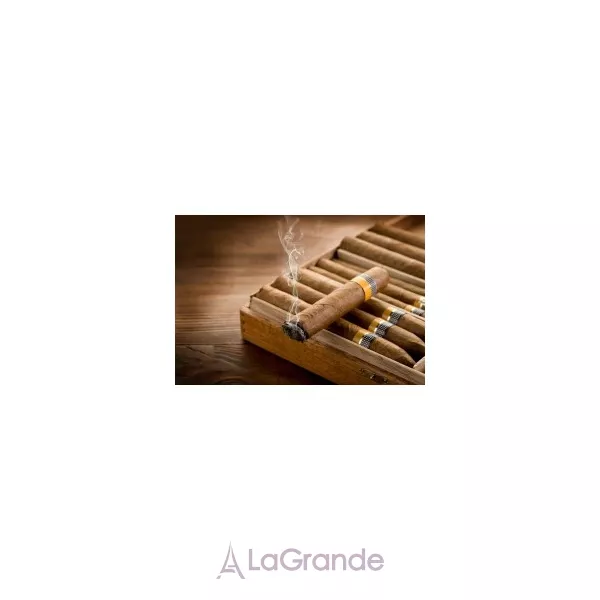 Remy Latour Cigar ��������� ����