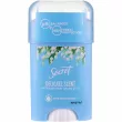 Secret Platinum Power Delicate Antiperspirant Deodorant 40ml