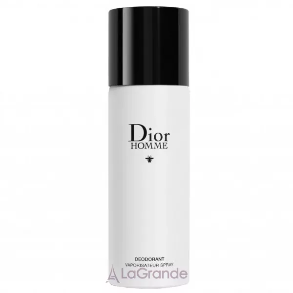Christian Dior Dior Homme 2020 ���������� - �����