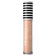 Pretty Cover Up Liquid Concealer г 