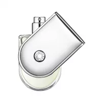 Hermes Voyage D`Hermes �������� ���� (������)