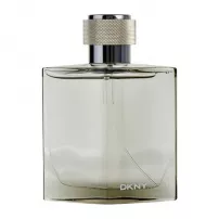 Donna Karan (Dkny) Men Silver 2009 �������� ���� (������)