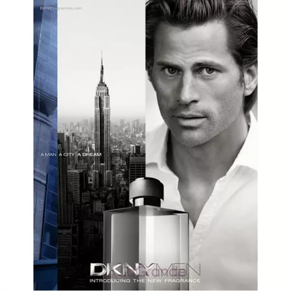 Donna Karan (Dkny) Men Silver 2009 �������� ���� (������)