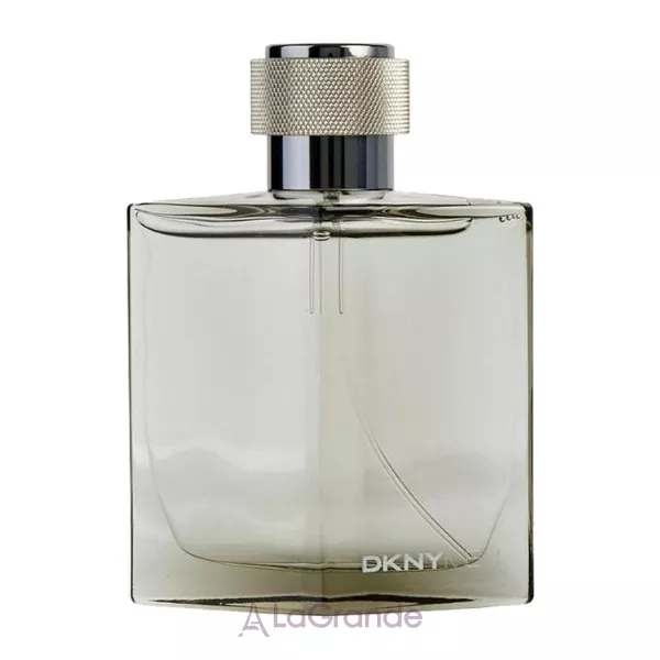 Donna Karan (Dkny) Men Silver 2009 �������� ���� (������)