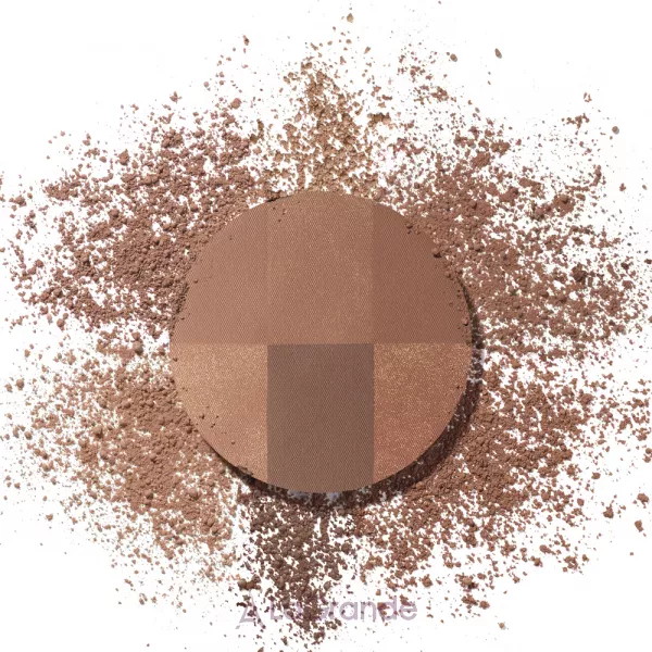 Bourjois Always Fabulous Bronzing Powder �����, �� ������