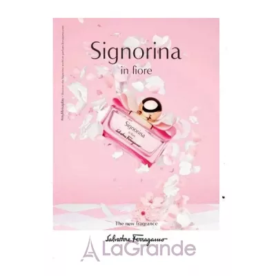 Salvatore Ferragamo Signorina In Fiore  (  100  +    50  + 50    )