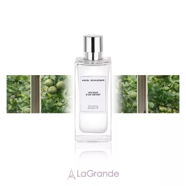 Angel Schlesser Tempting Bergamot ��������� ����
