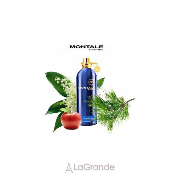 Montale Aoud & Pine ��������������� ����