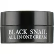 Eyenlip Black Snail All In One Cream     