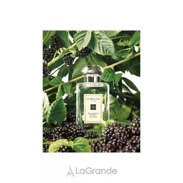Jo Malone Blackberry & Bay ��������