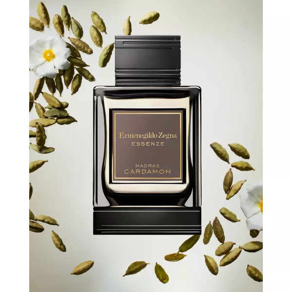 Ermenegildo Zegna Madras Cardamon ����������� ����