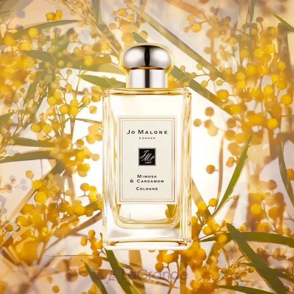 Jo Malone Mimosa & Cardamom ��������
