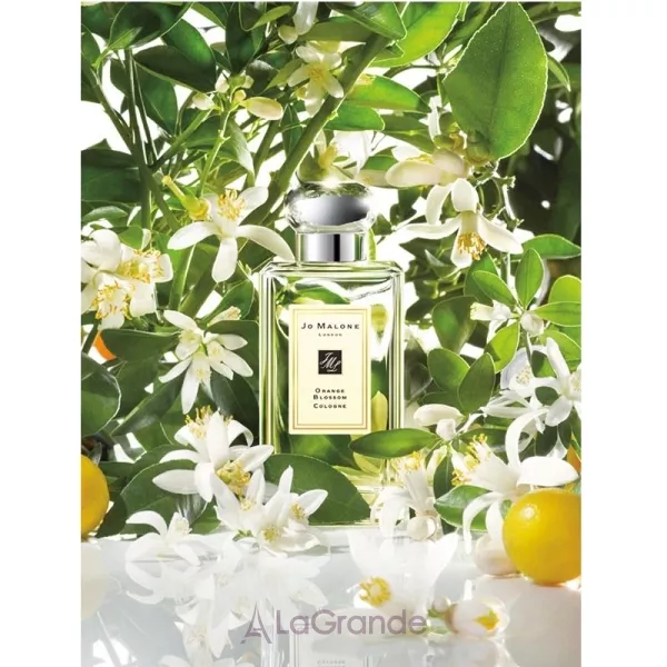Jo Malone Orange Blossom ��������