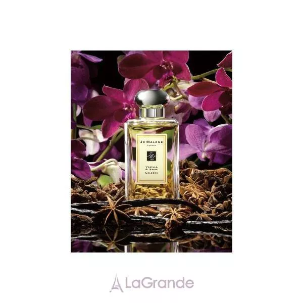 Jo Malone Vanilla & Anise �������� (������)