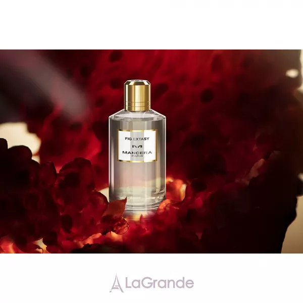 Mancera Fig Extasy ��������������� ����