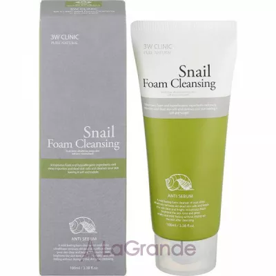 3W Clinic Snail Foam Cleansing       