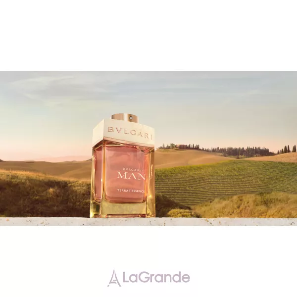Bvlgari Man Terrae Essence ��������������� ���� (������)