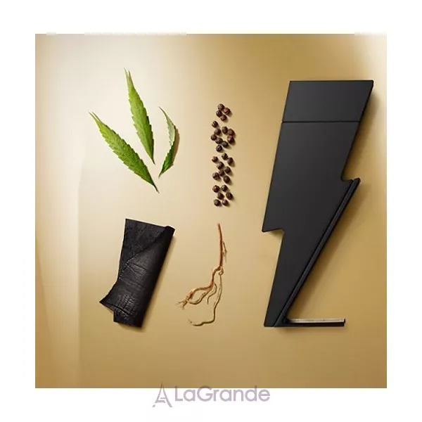 Carolina Herrera Bad Boy ���� (�������� ���� 100 �� + �������� 10 ��)
